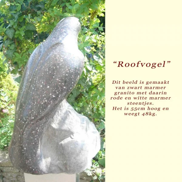 Roofvogel